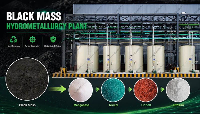 Black Mass Hydrometallurgy Plant