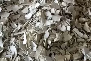 Plastic Plastic
